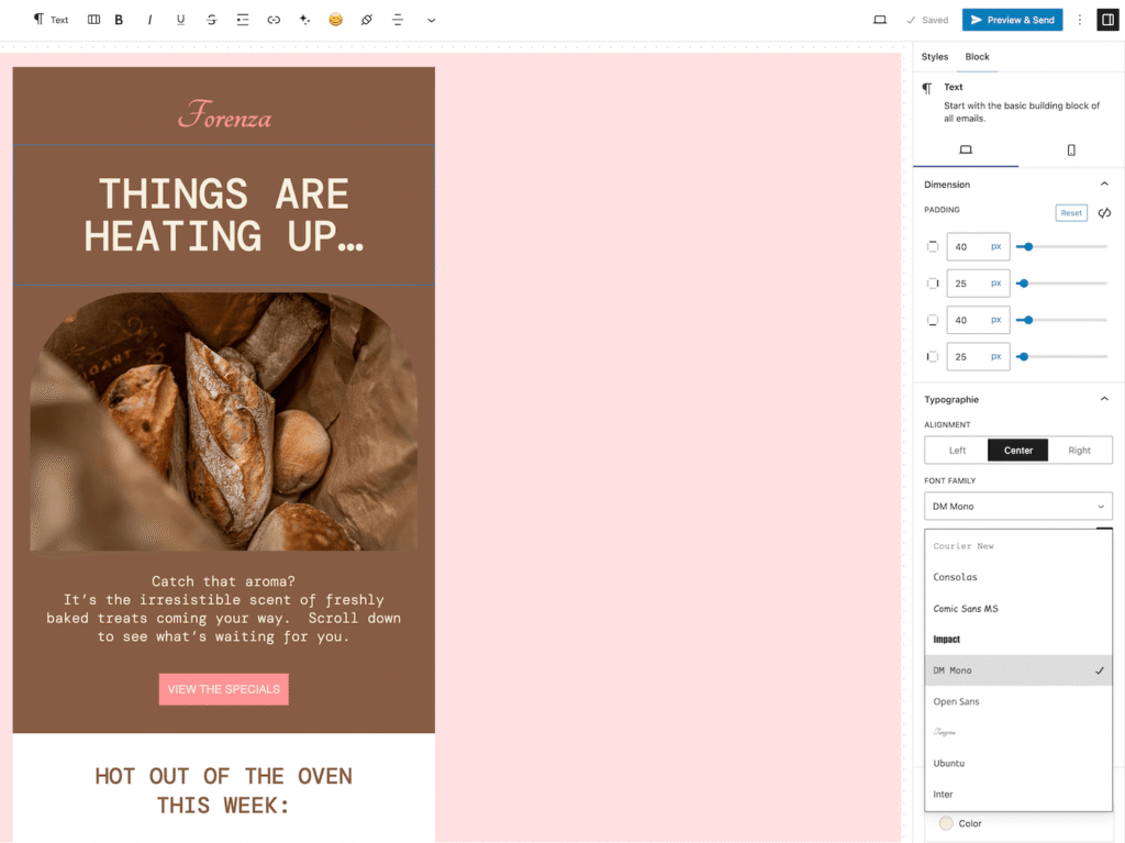 Typography section of the Text Block - MailerPress